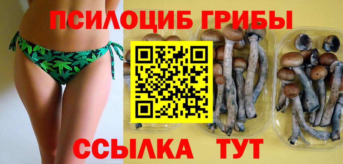 Галлюциногенные грибы Cubensis Кемерово
