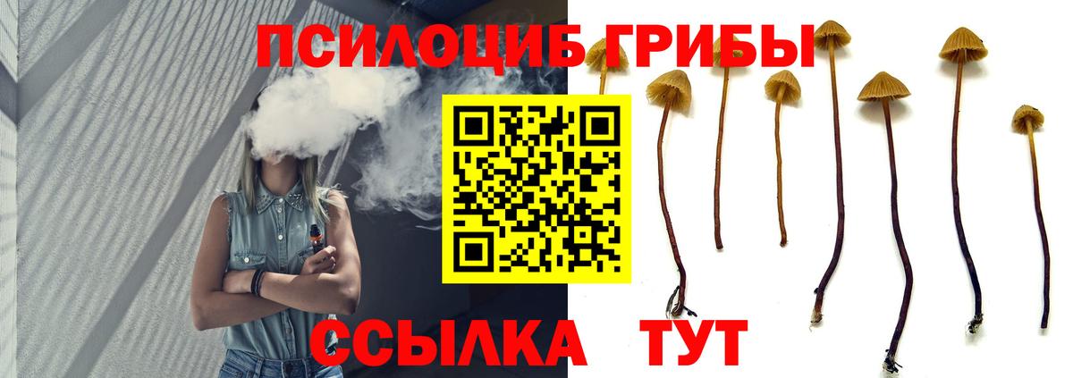 Кемерово  Галлюциногенные грибы GOLDEN TEACHER  Вход с VPN  Псилоцибиновые грибы Cubensis 